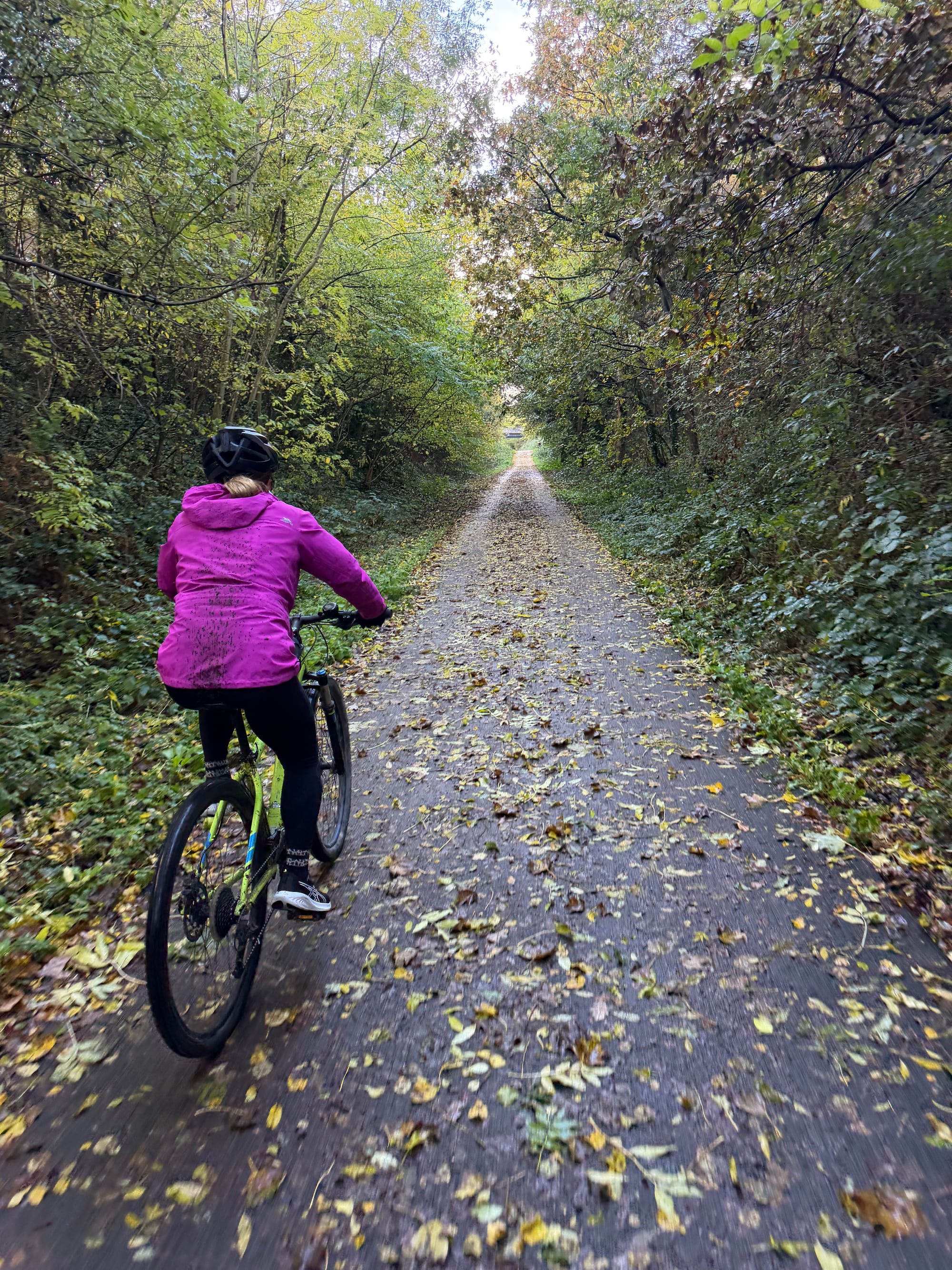 The Millennium Greenway