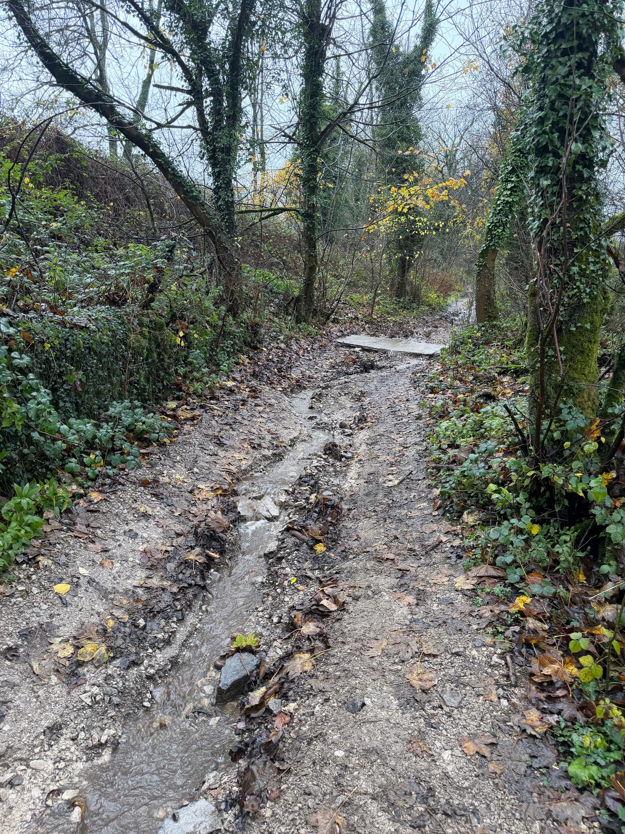 The wet and rutted path up to Eyam.