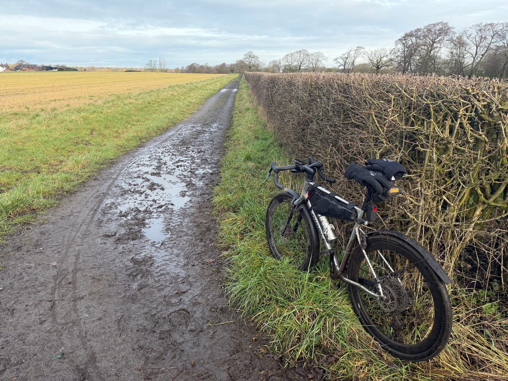 Mud, mud, glorious mud!