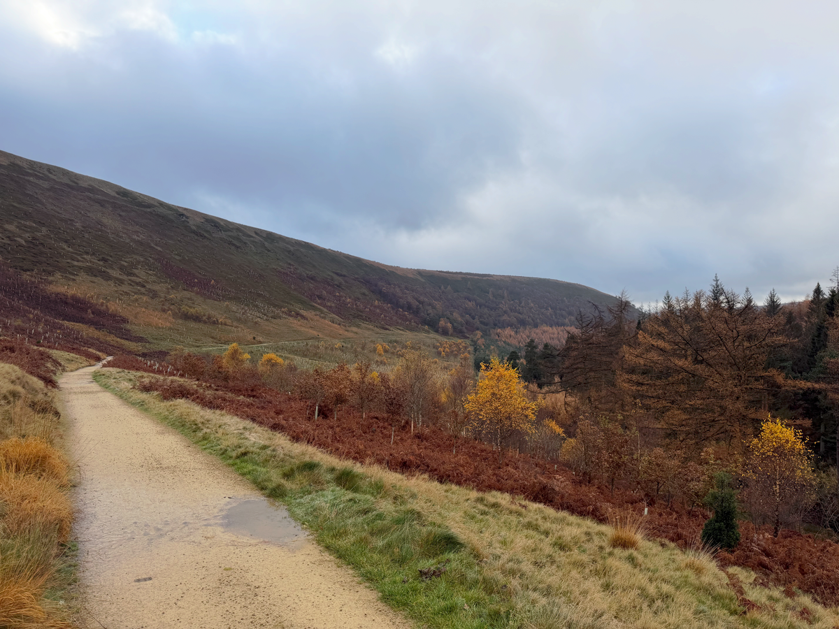 Route: Ladybower Reservoir Loop